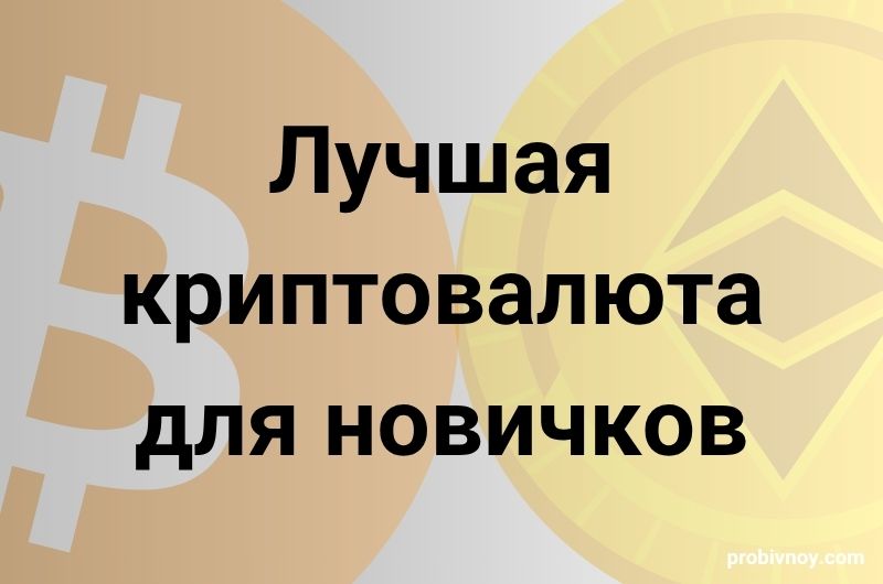 Лучшая криптовалюта для новичков Лучшая криптовалюта для новичков